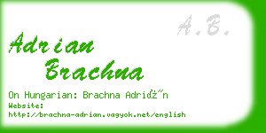 adrian brachna business card